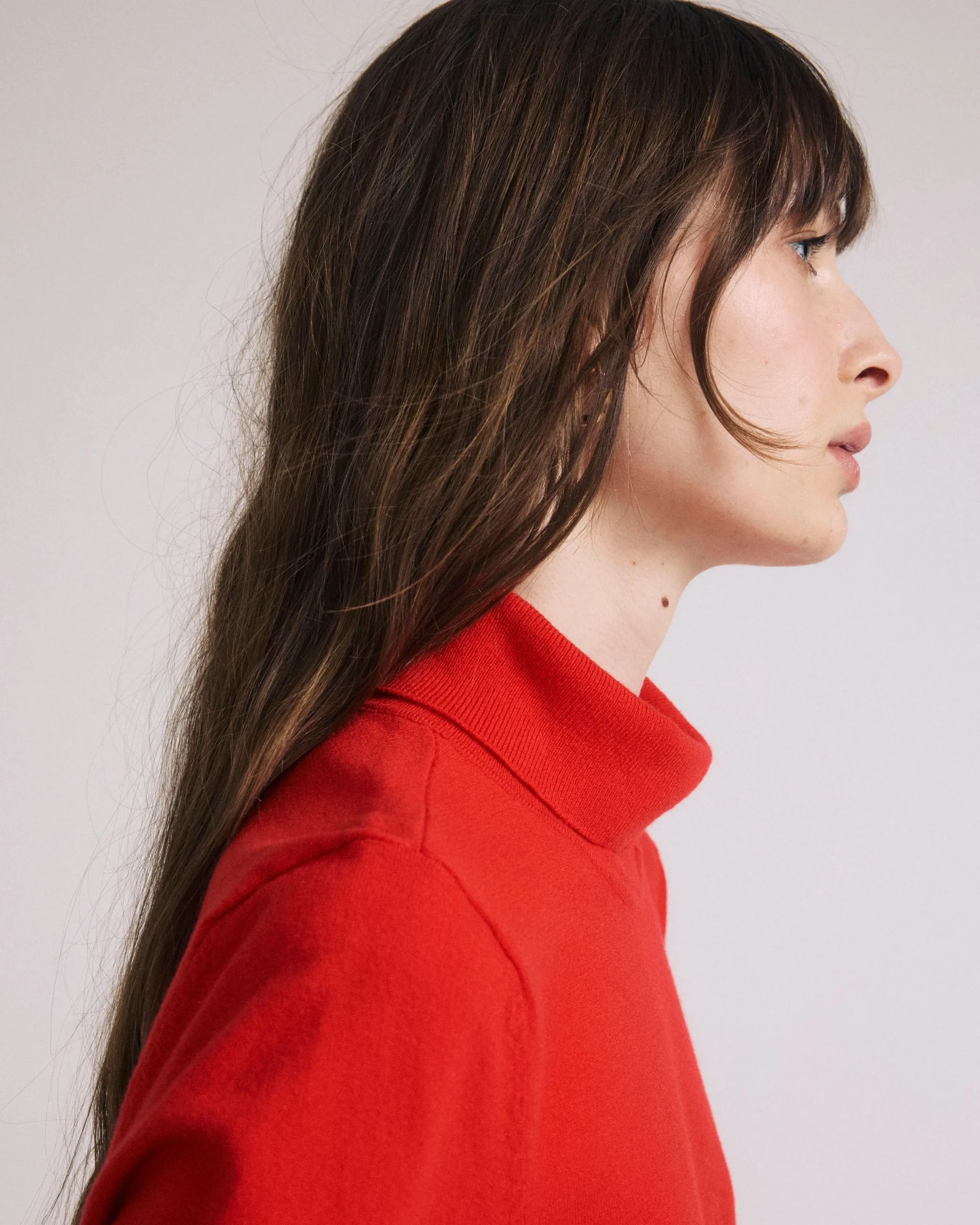 Savvy Fine Knit Turtleneck Sweater Top Lipstick